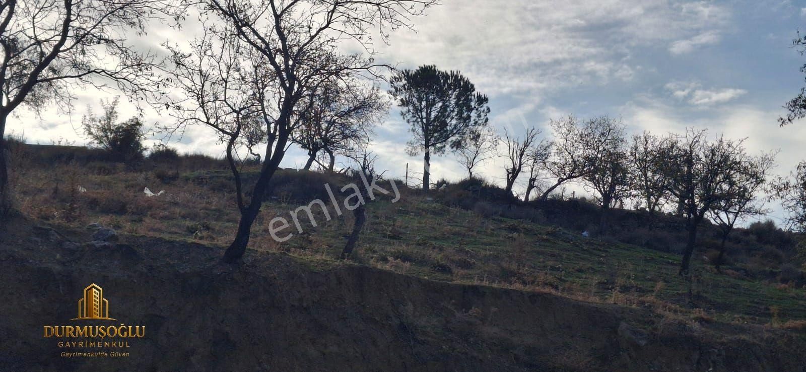 Durmuşoğlu'ndan Havran Küçükdere'de Körfez Manzaralı Arsa - Görsel 8