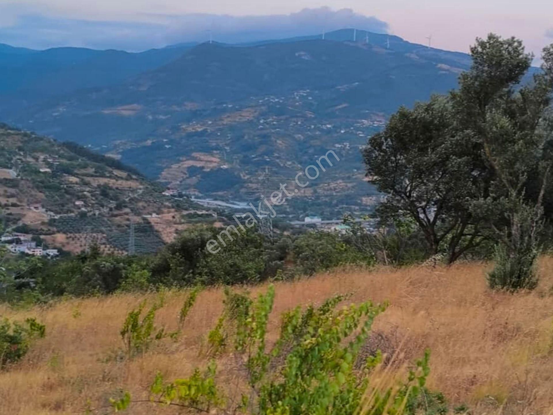 Sakarya Geyve Akçaşehir'de Satılık Arsa Hissesi - Görsel 3