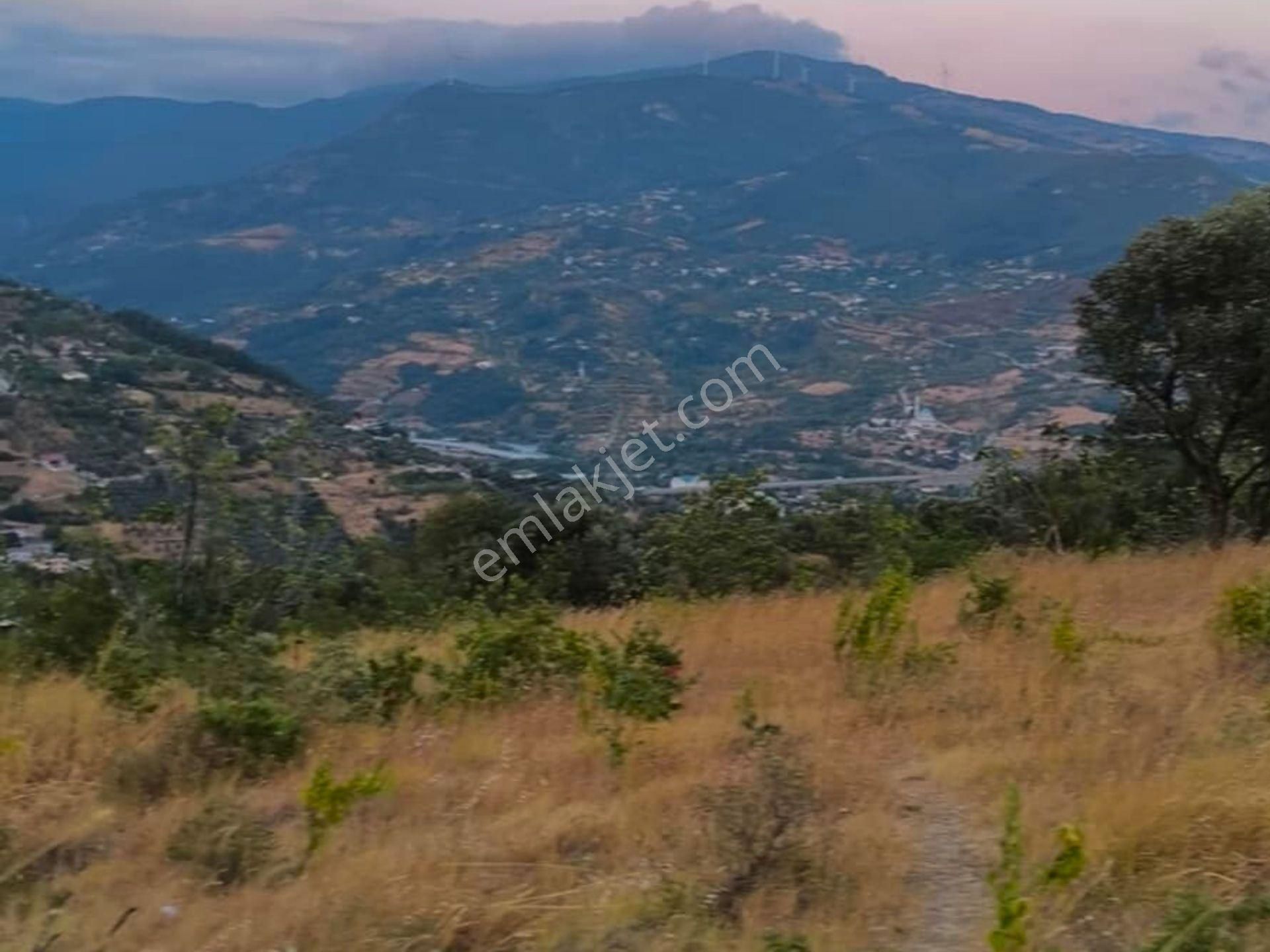 Sakarya Geyve Akçaşehir'de Satılık Arsa Hissesi - Görsel 2