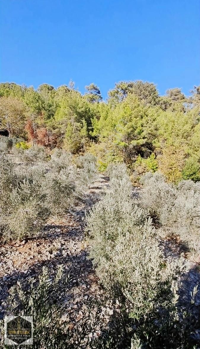 Bmk Emlaktan Antalya Kumluca Yeşilköyde Satılık Tarla - Görsel 32