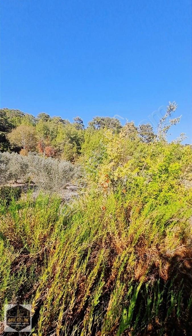 Bmk Emlaktan Antalya Kumluca Yeşilköyde Satılık Tarla - Görsel 7