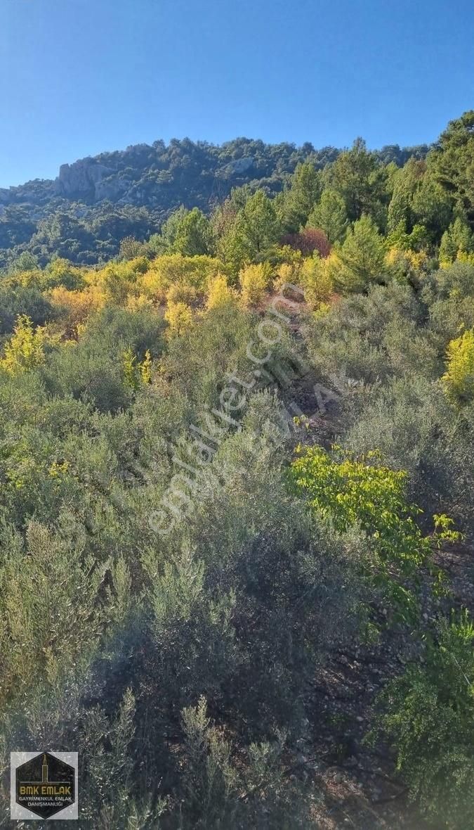 Bmk Emlaktan Antalya Kumluca Yeşilköyde Satılık Tarla - Görsel 13
