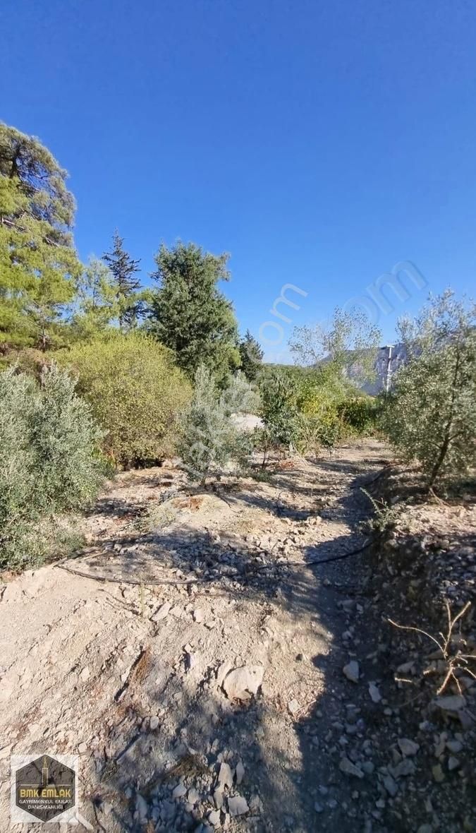 Bmk Emlaktan Antalya Kumluca Yeşilköyde Satılık Tarla - Görsel 3