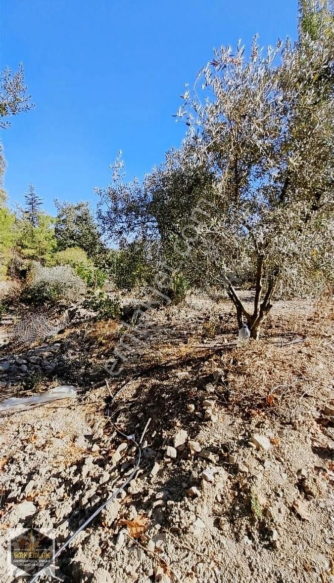 Bmk Emlaktan Antalya Kumluca Yeşilköyde Satılık Tarla - Görsel 22