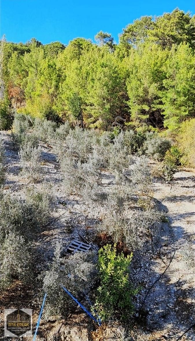 Bmk Emlaktan Antalya Kumluca Yeşilköyde Satılık Tarla - Görsel 4