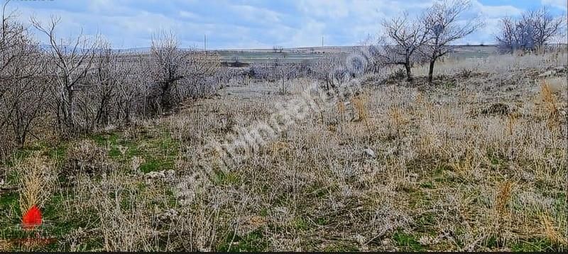 Pamukcu Sırtında Burayı Kaçırma 1888m2 Müstakil Satılık Tarla - Görsel 2