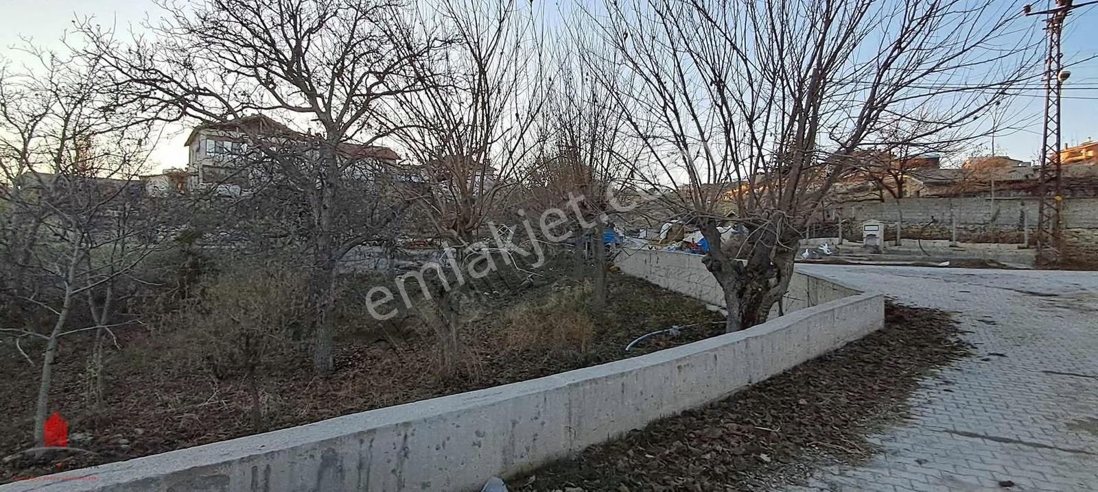 Hobi Bahçesi Fiyatına Köy İçi Satılık Bahçe - Görsel 21