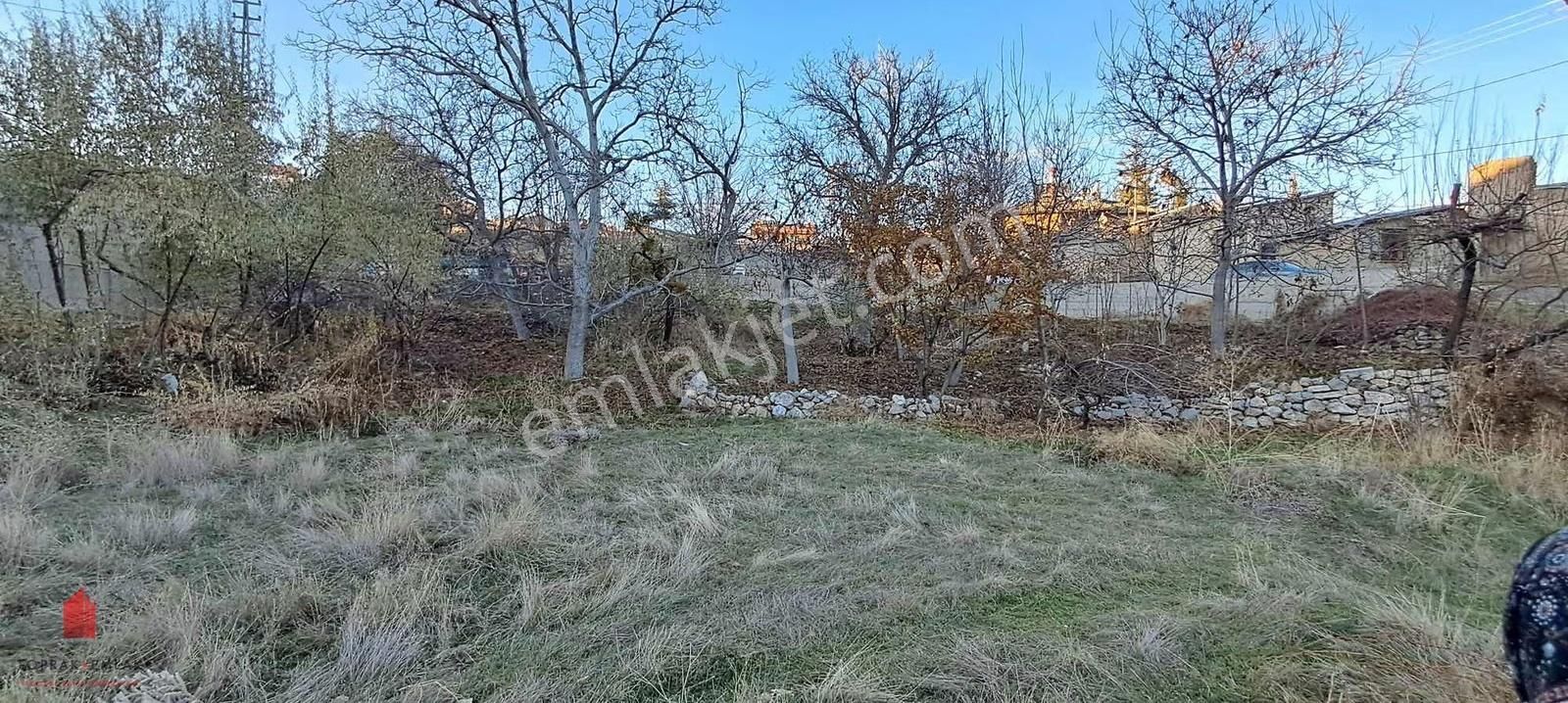 Hobi Bahçesi Fiyatına Köy İçi Satılık Bahçe - Görsel 17