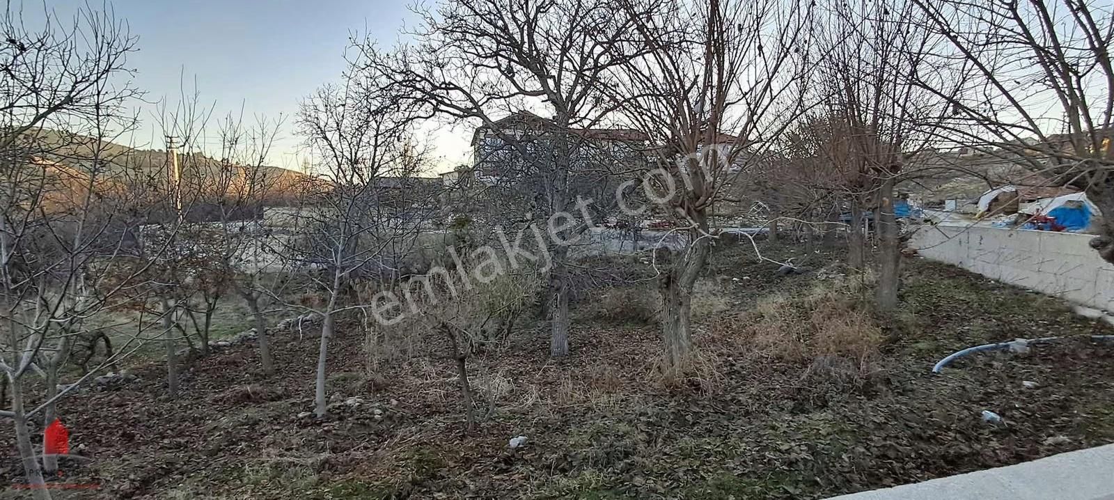 Hobi Bahçesi Fiyatına Köy İçi Satılık Bahçe - Görsel 10