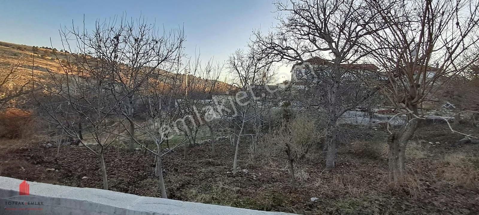 Hobi Bahçesi Fiyatına Köy İçi Satılık Bahçe - Görsel 16