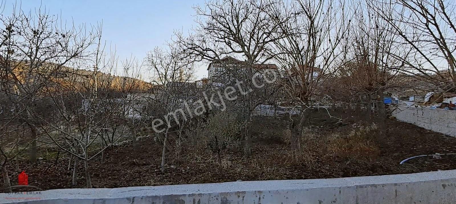 Hobi Bahçesi Fiyatına Köy İçi Satılık Bahçe - Görsel 27