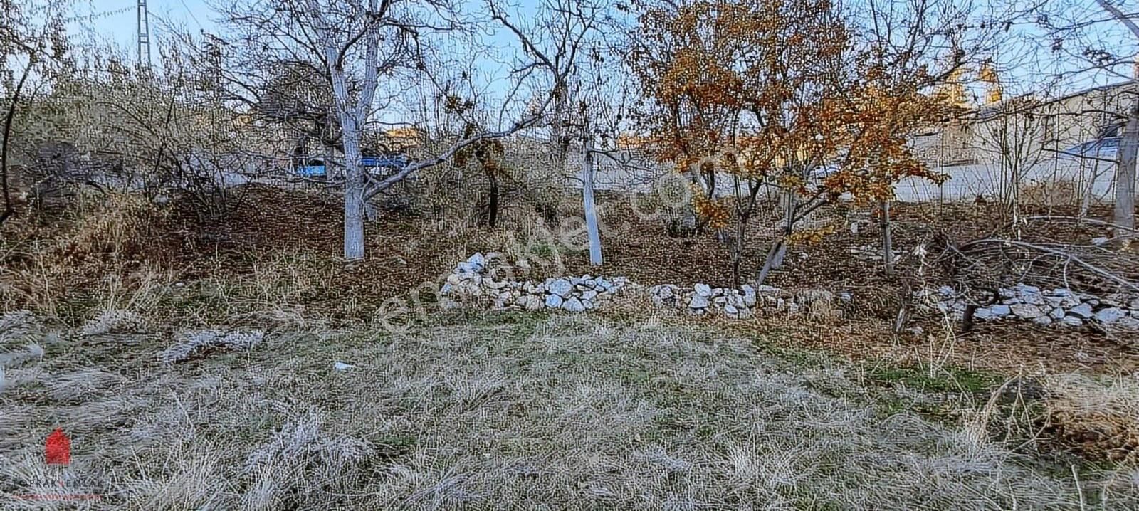 Hobi Bahçesi Fiyatına Köy İçi Satılık Bahçe - Görsel 2