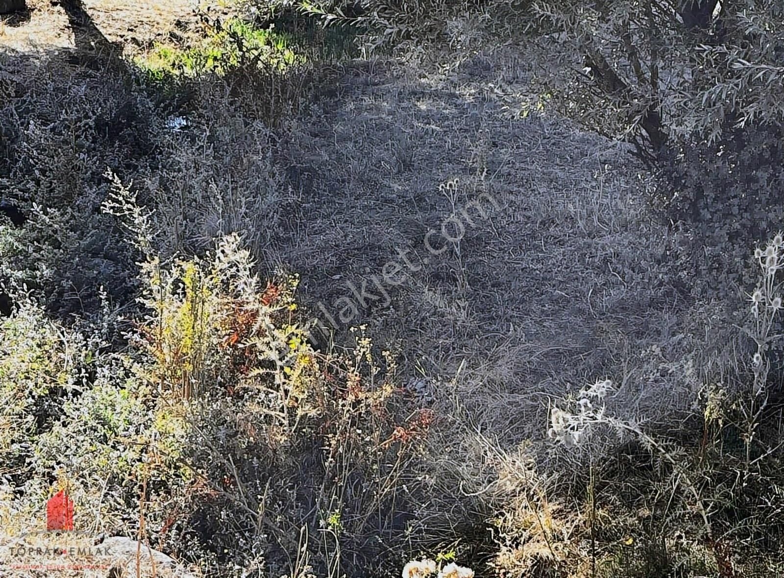 Erenkaya'da 1105m2 Müstakil Önünden Dere Akan Satılık Bahçe - Görsel 12