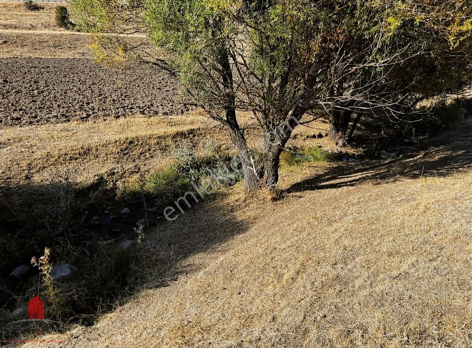 Erenkaya'da 1105m2 Müstakil Önünden Dere Akan Satılık Bahçe - Görsel 10