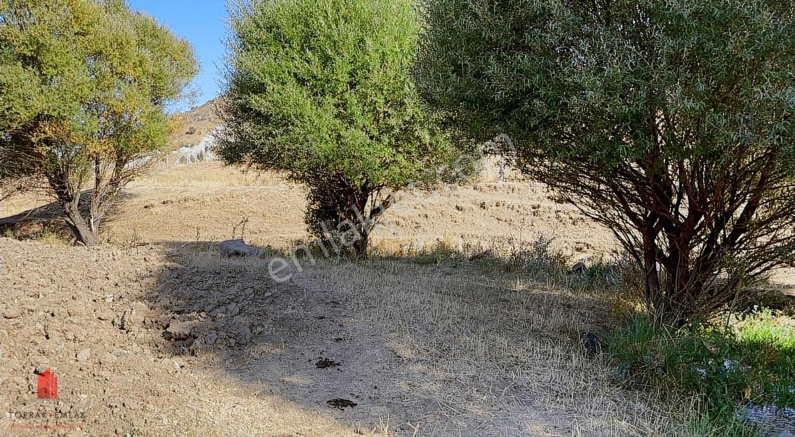 Erenkaya'da 1105m2 Müstakil Önünden Dere Akan Satılık Bahçe - Görsel 23