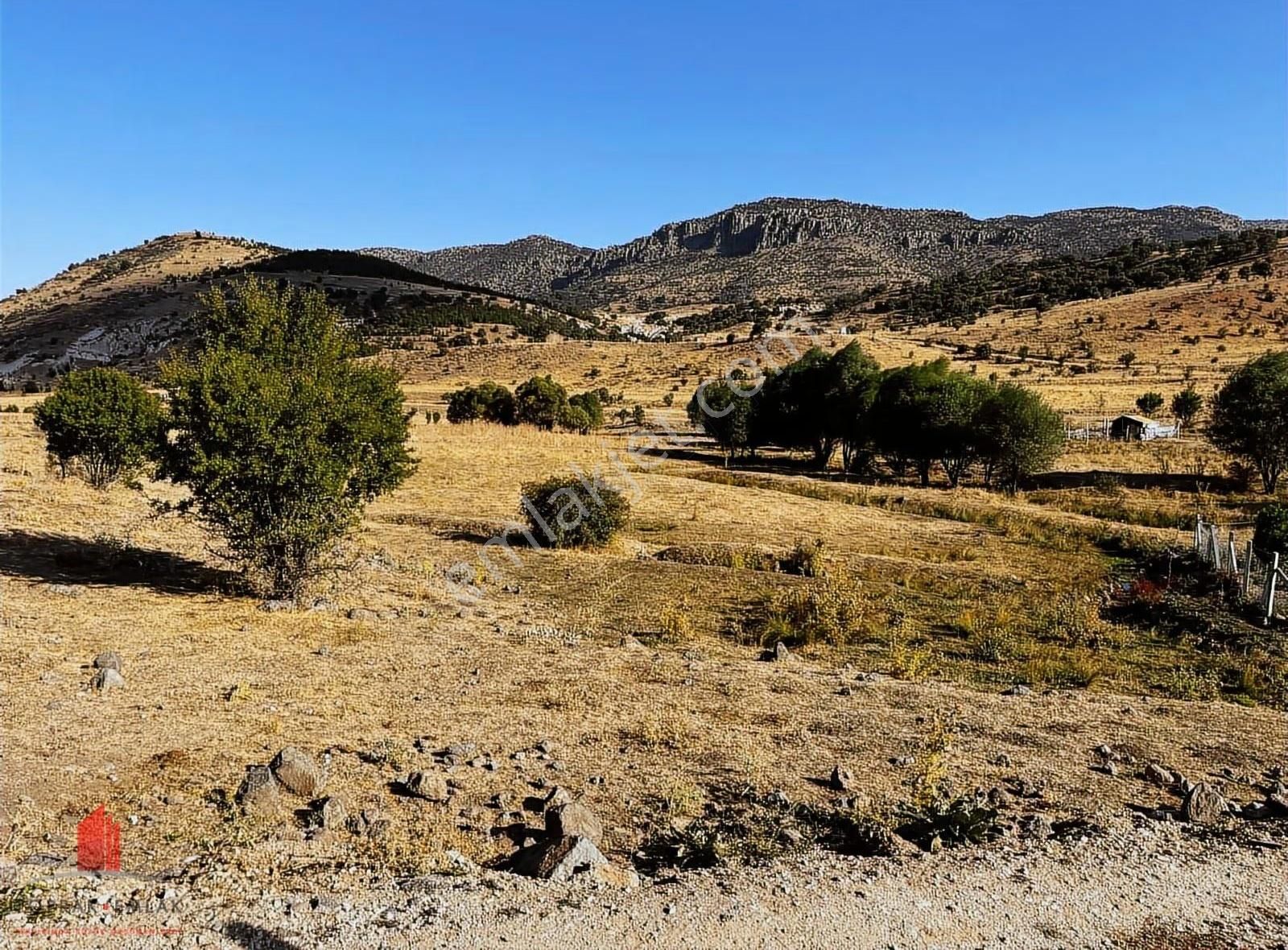 Erenkaya'da Etrafı Telli Kaynak Sulu 2622m2 Satılık Bahçe - Görsel 4
