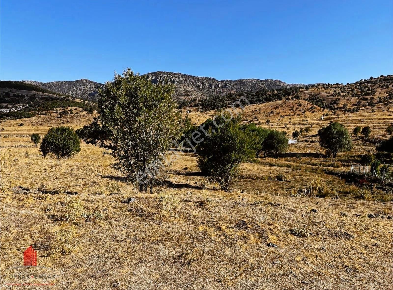 Erenkaya'da Etrafı Telli Kaynak Sulu 2622m2 Satılık Bahçe - Görsel 6