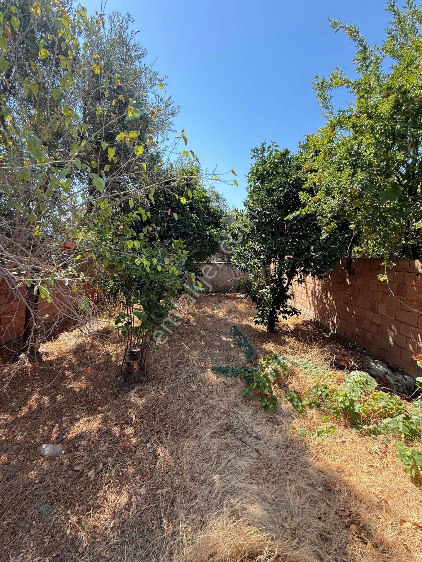 Aydın Nazilli Şirinevler Mahallesi’nde Müstakil Ev Konum: Nazilli / – Millet Bahçesi Altında - Görsel 3