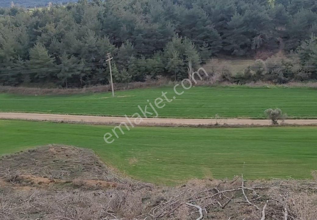 Çanakkale Eceabat Kemalpaşa'da Denize Yakın 6.269 M2 Tarla. Açıklamayı Okuyarak Arayınız - Görsel 10