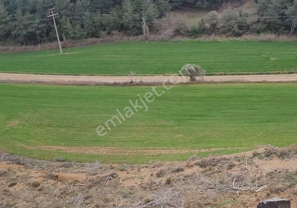 Çanakkale Eceabat Kemalpaşa'da Denize Yakın 6.269 M2 Tarla. Açıklamayı Okuyarak Arayınız