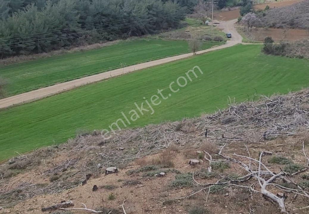 Çanakkale Eceabat Kemalpaşa'da Denize Yakın 6.269 M2 Tarla. Açıklamayı Okuyarak Arayınız - Görsel 9