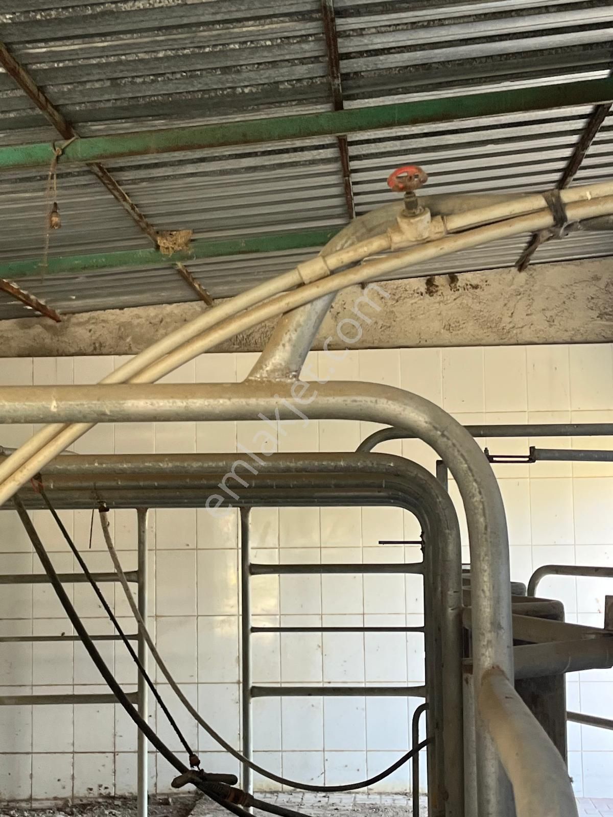 Acarlar Emlaktan Sultanhisar Yağdere'de 4505 M2 Satılık Çiftlik - Görsel 13