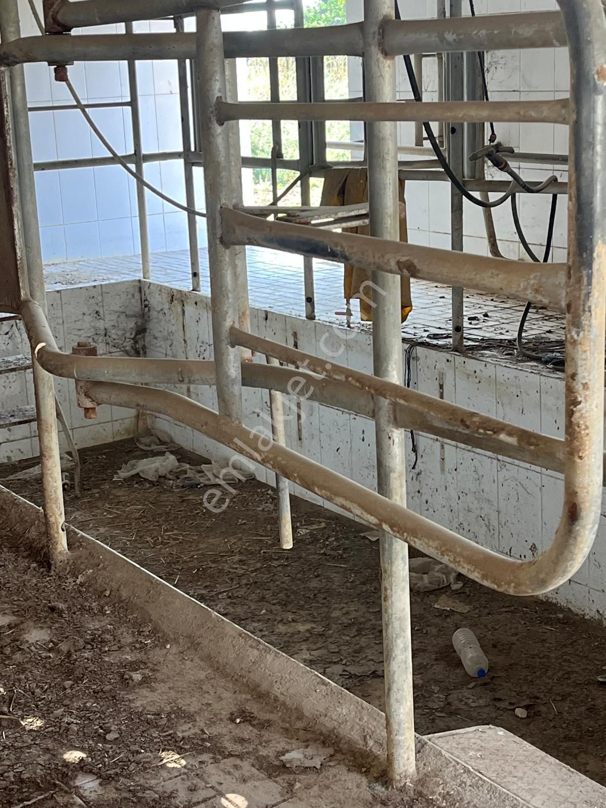 Acarlar Emlaktan Sultanhisar Yağdere'de 4505 M2 Satılık Çiftlik - Görsel 16