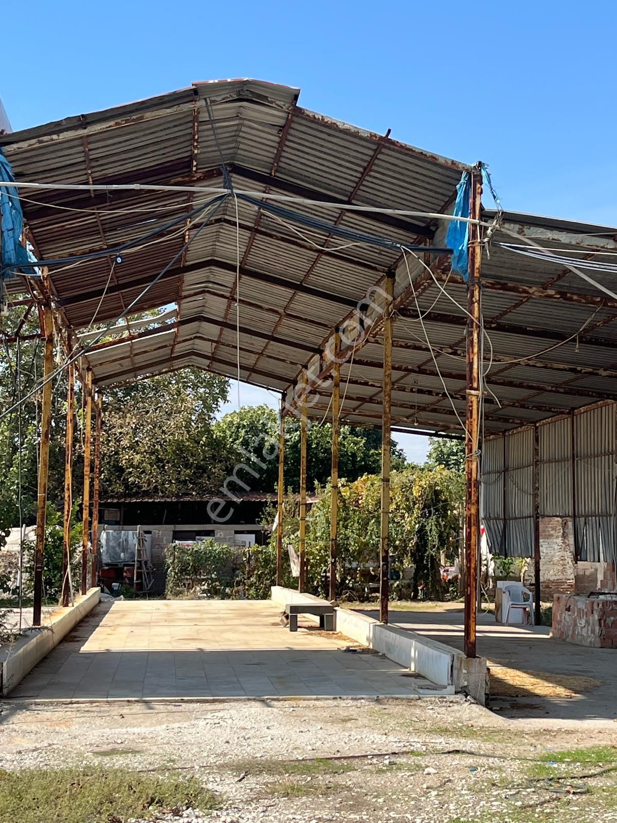 Acarlar Emlaktan Sultanhisar Yağdere'de 4505 M2 Satılık Çiftlik - Görsel 2