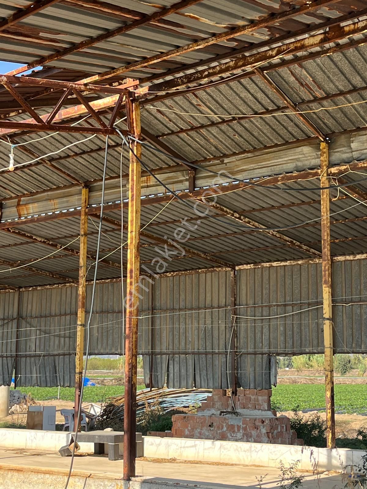 Acarlar Emlaktan Sultanhisar Yağdere'de 4505 M2 Satılık Çiftlik - Görsel 14