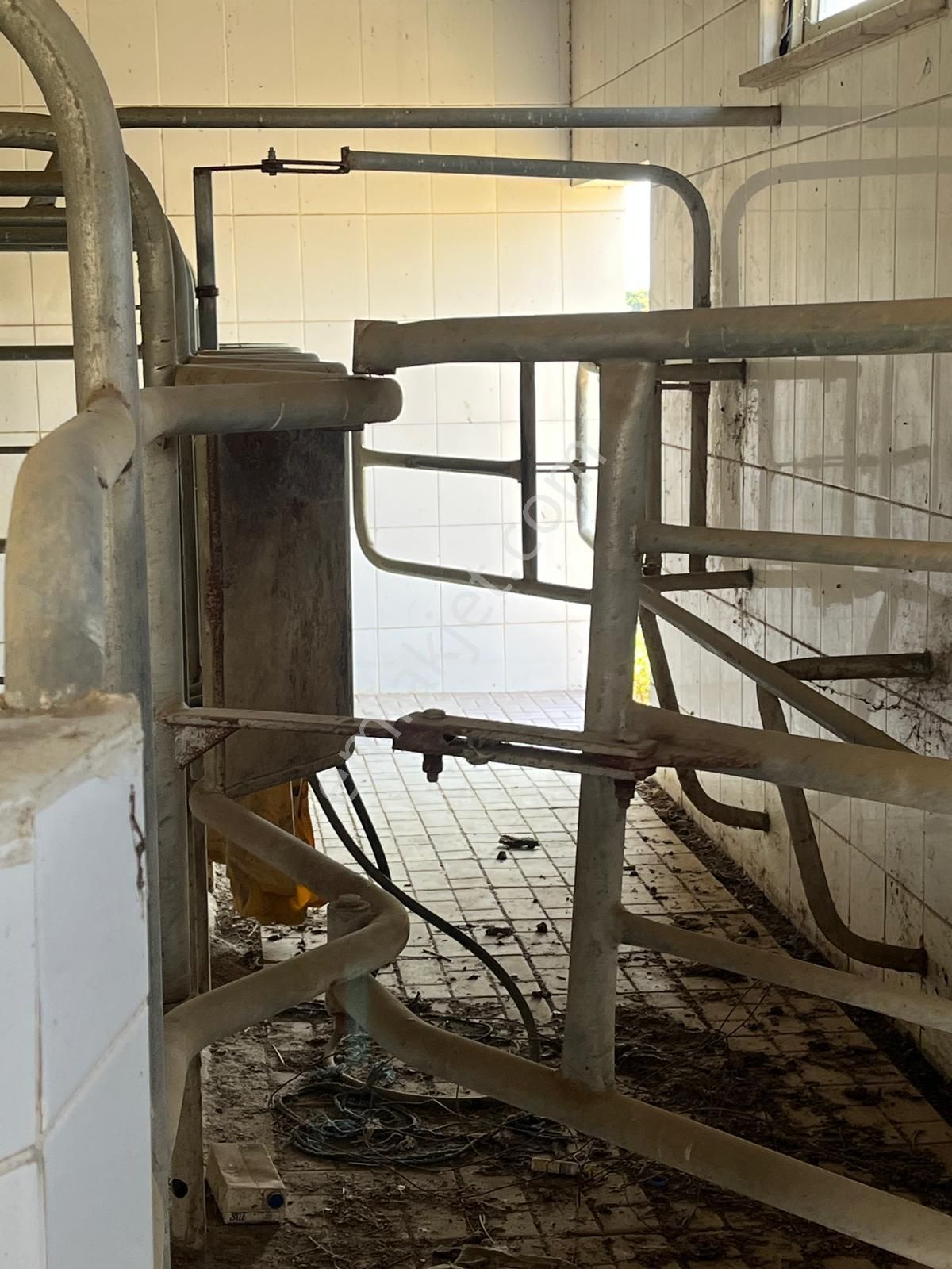 Acarlar Emlaktan Sultanhisar Yağdere'de 4505 M2 Satılık Çiftlik - Görsel 12