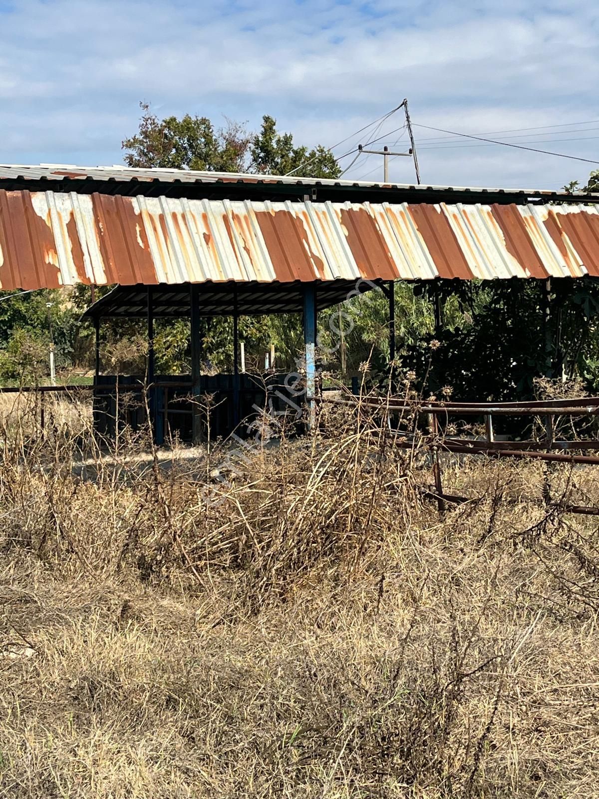 Acarlar Emlaktan Sultanhisar Yağdere'de 4505 M2 Satılık Çiftlik - Görsel 9