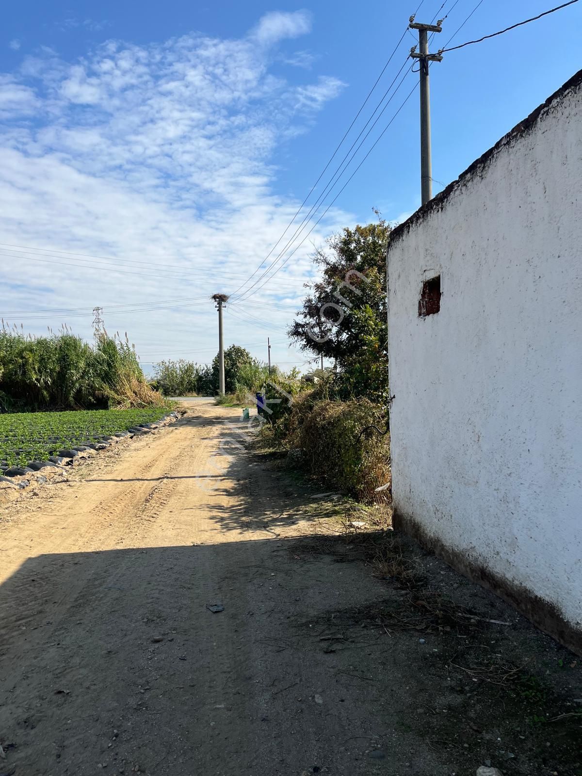 Acarlar Emlaktan Sultanhisar Yağdere'de 4505 M2 Satılık Çiftlik - Görsel 18