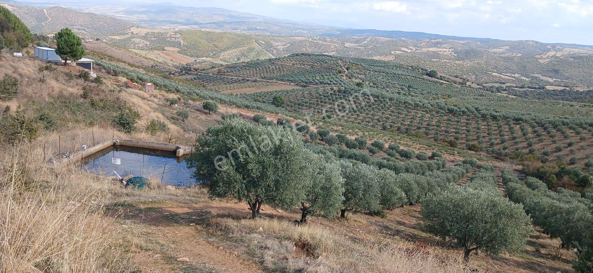 Salihli Uras Gayr - Görsel 9