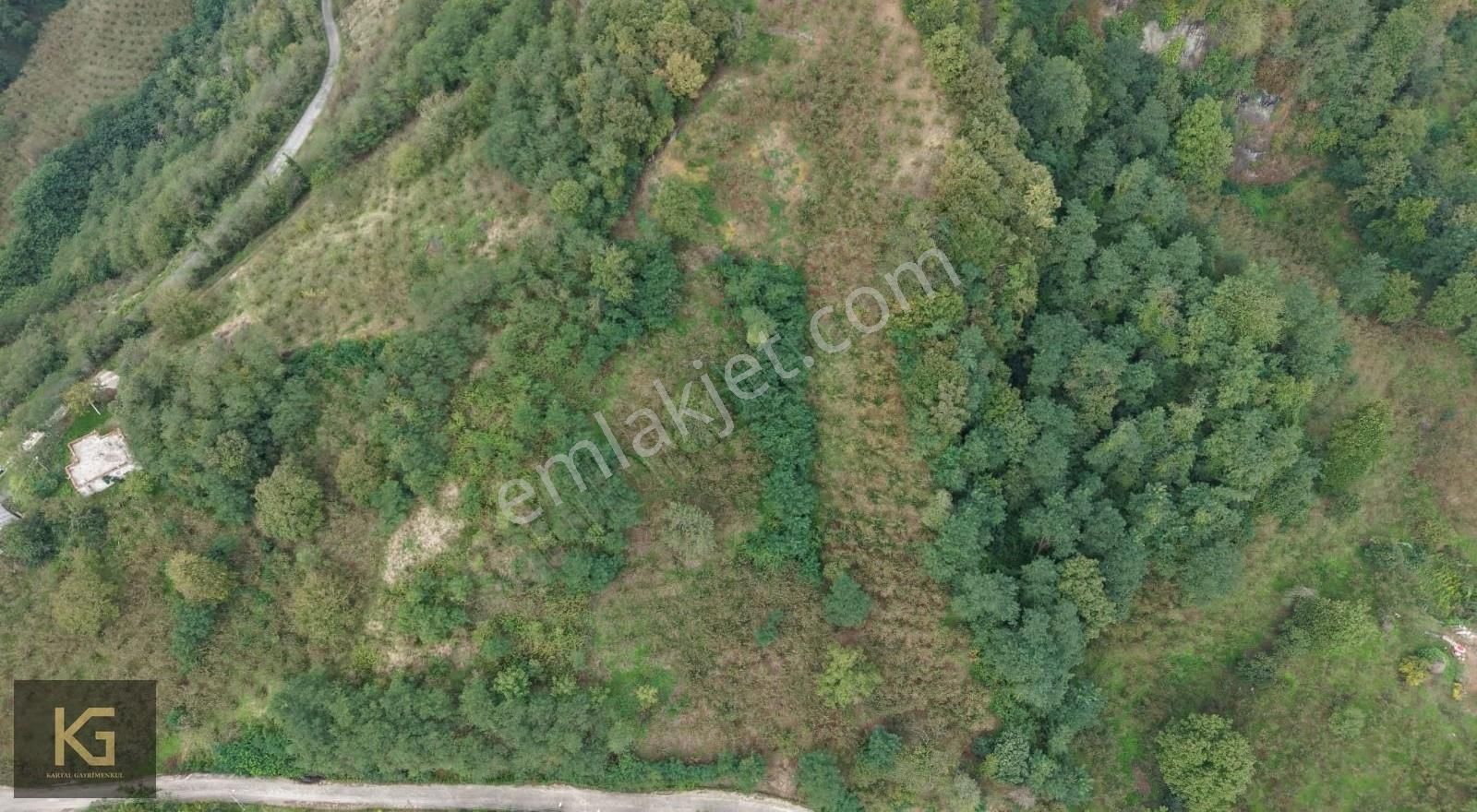 Mehmet Akif Köyünde 5 Parsel Satılık Arazi Ve Bina - Görsel 31