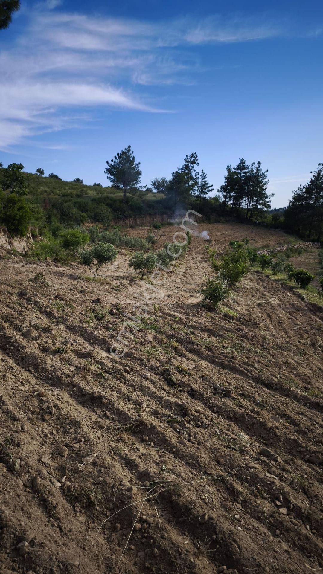 Tek Tapu Mustakilyatırımlık Uygun Hobi Bahçesi - Görsel 2