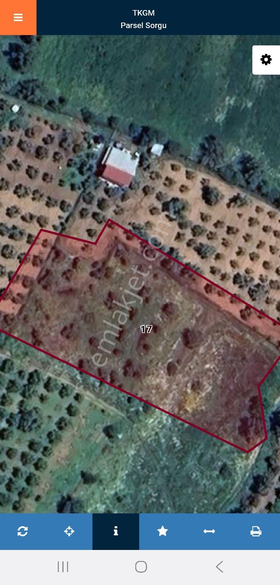 İzmir Ödemiş Küçükavulcuk'ta 3.840 M2, Zeytinlik Ve İncir Bahçesi. Açıklamayı Okuyarak Arayınız - Görsel 3