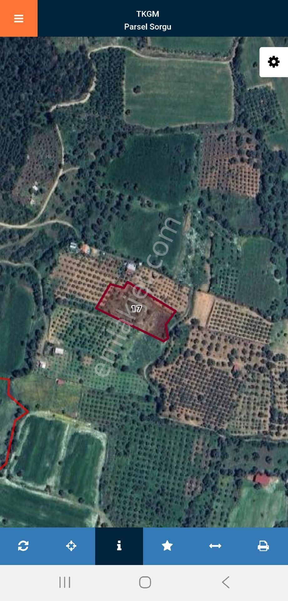 İzmir Ödemiş Küçükavulcuk'ta 3.840 M2, Zeytinlik Ve İncir Bahçesi. Açıklamayı Okuyarak Arayınız - Görsel 2