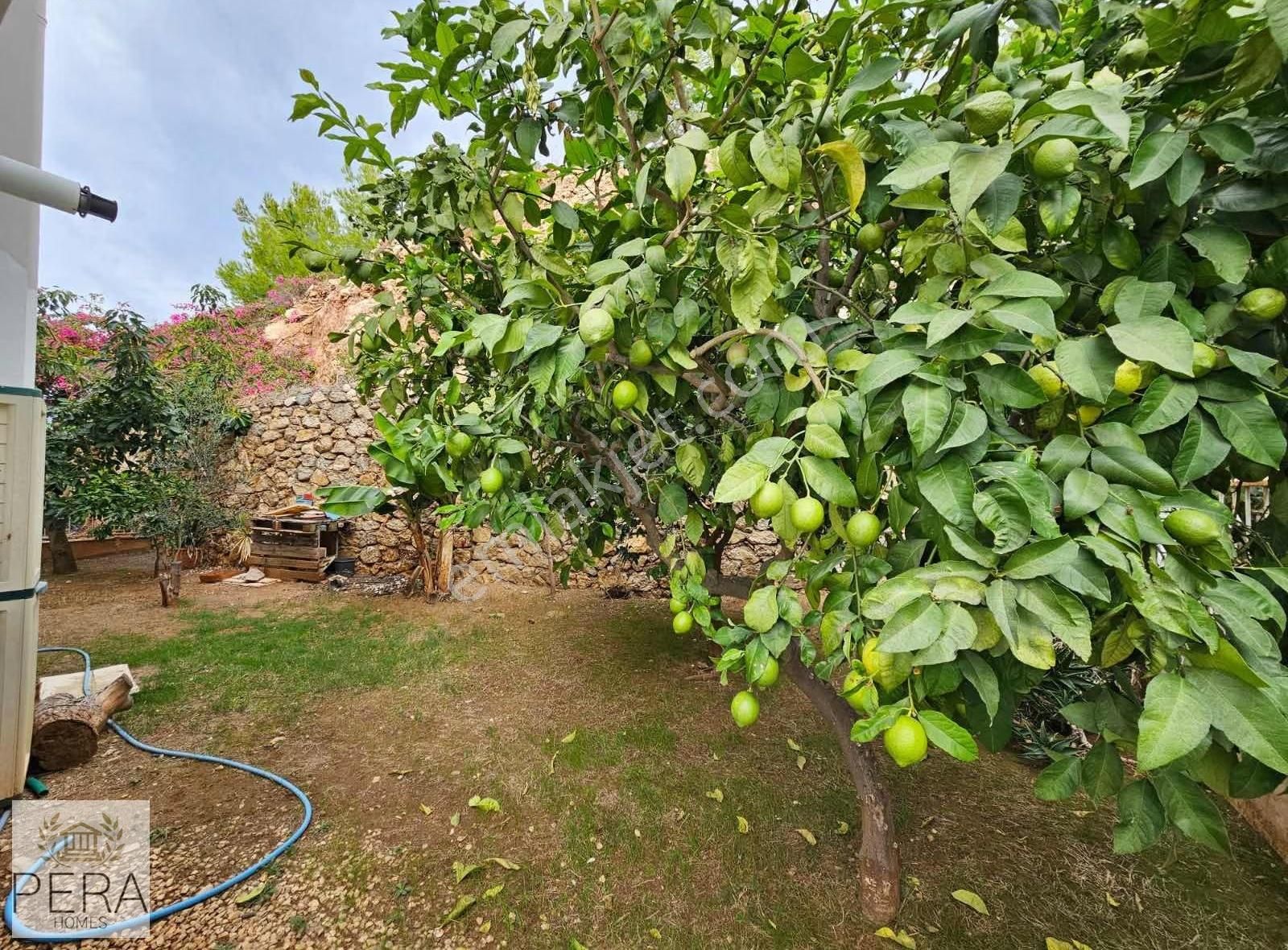 Alanya Kargıcak 4+1 Trıpleks Deniz Manzaralı Kiralık Villa - Görsel 12