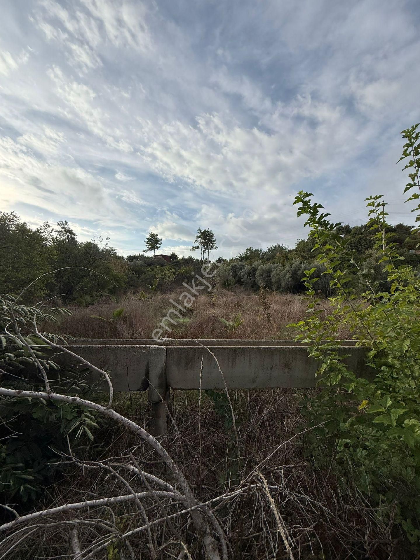 Antalya/manavgat Karayolun̈a Yakın Uygun Çiftlik Sera Yeri - Görsel 2