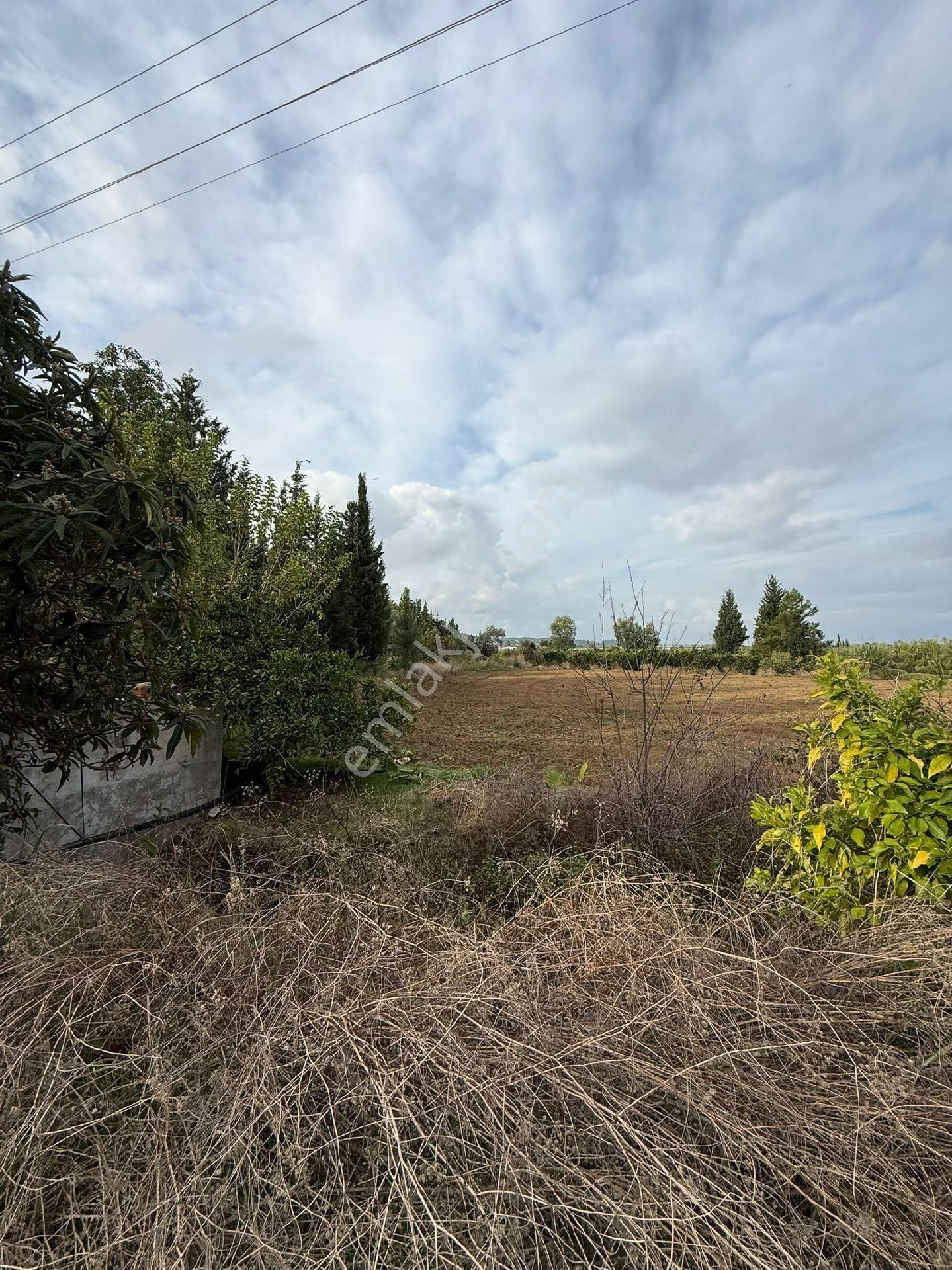 Antalya/manavgat Karayolun̈a Yakın Uygun Çiftlik Sera Yeri