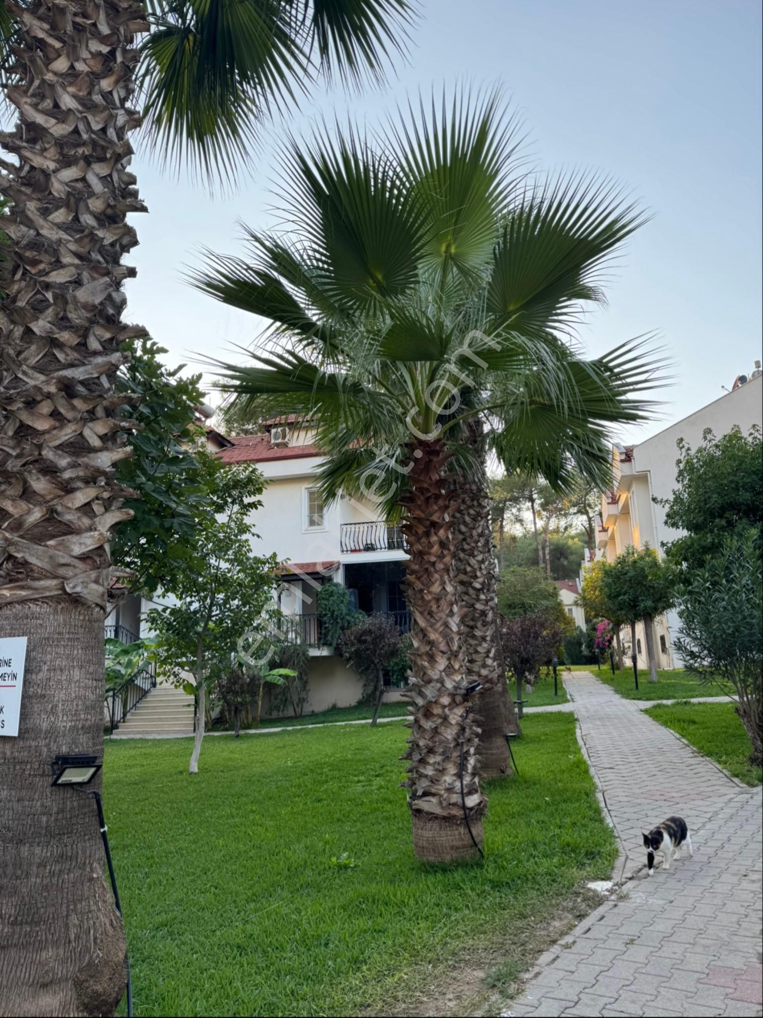 Muğla Fethiye Ölüdeniz Mahallesi Hisarönü Mevkii 3+1 Satılık - Görsel 5