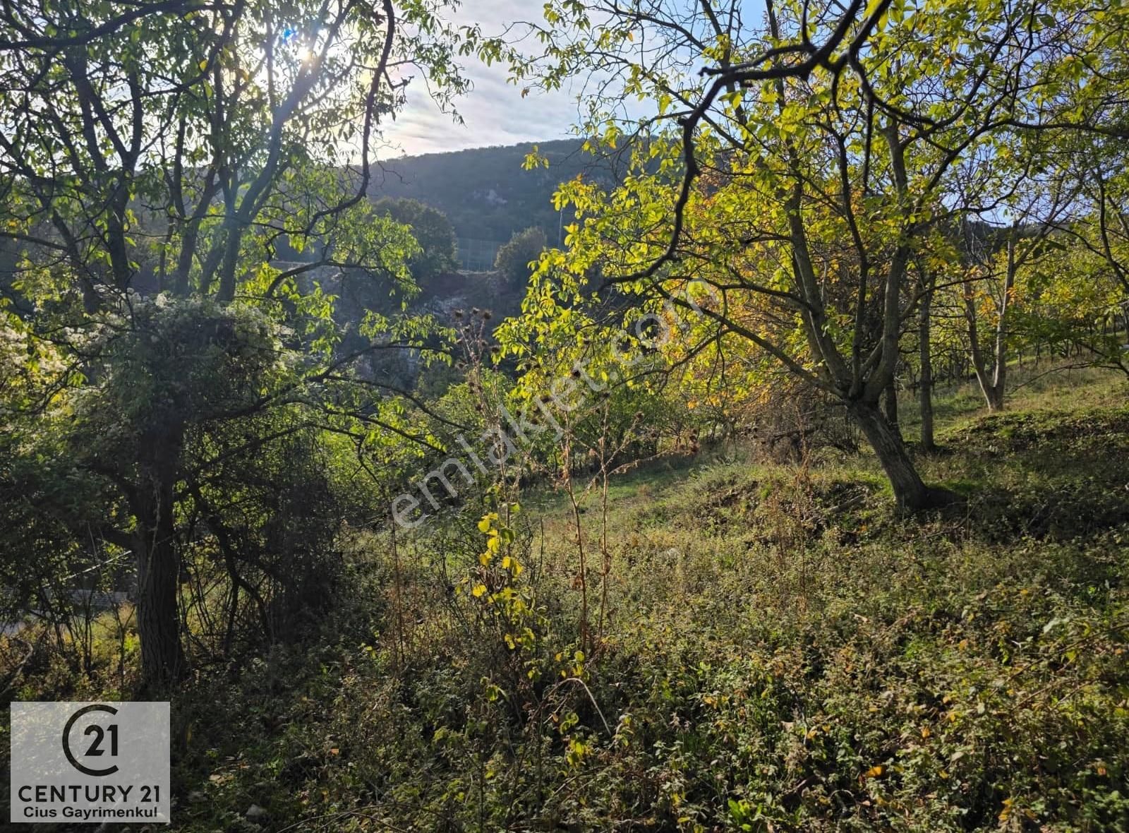 C21 Cius; Şahinyurdu'nda Muhteşem Doğa Manzaralı İmarlı Arsa - Görsel 4
