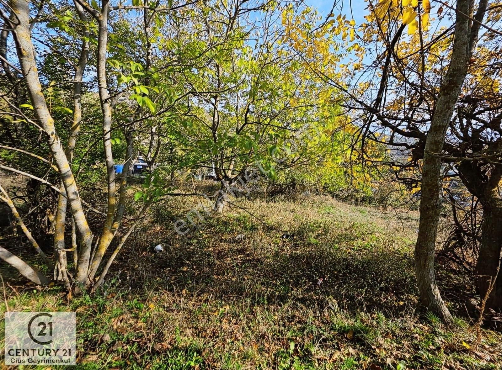 C21 Cius; Şahinyurdu'nda Muhteşem Doğa Manzaralı İmarlı Arsa - Görsel 11