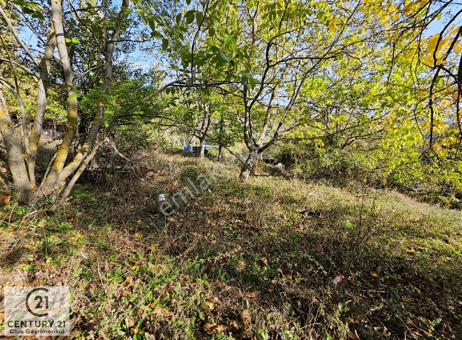 C21 Cius; Şahinyurdu'nda Muhteşem Doğa Manzaralı İmarlı Arsa - Görsel 6