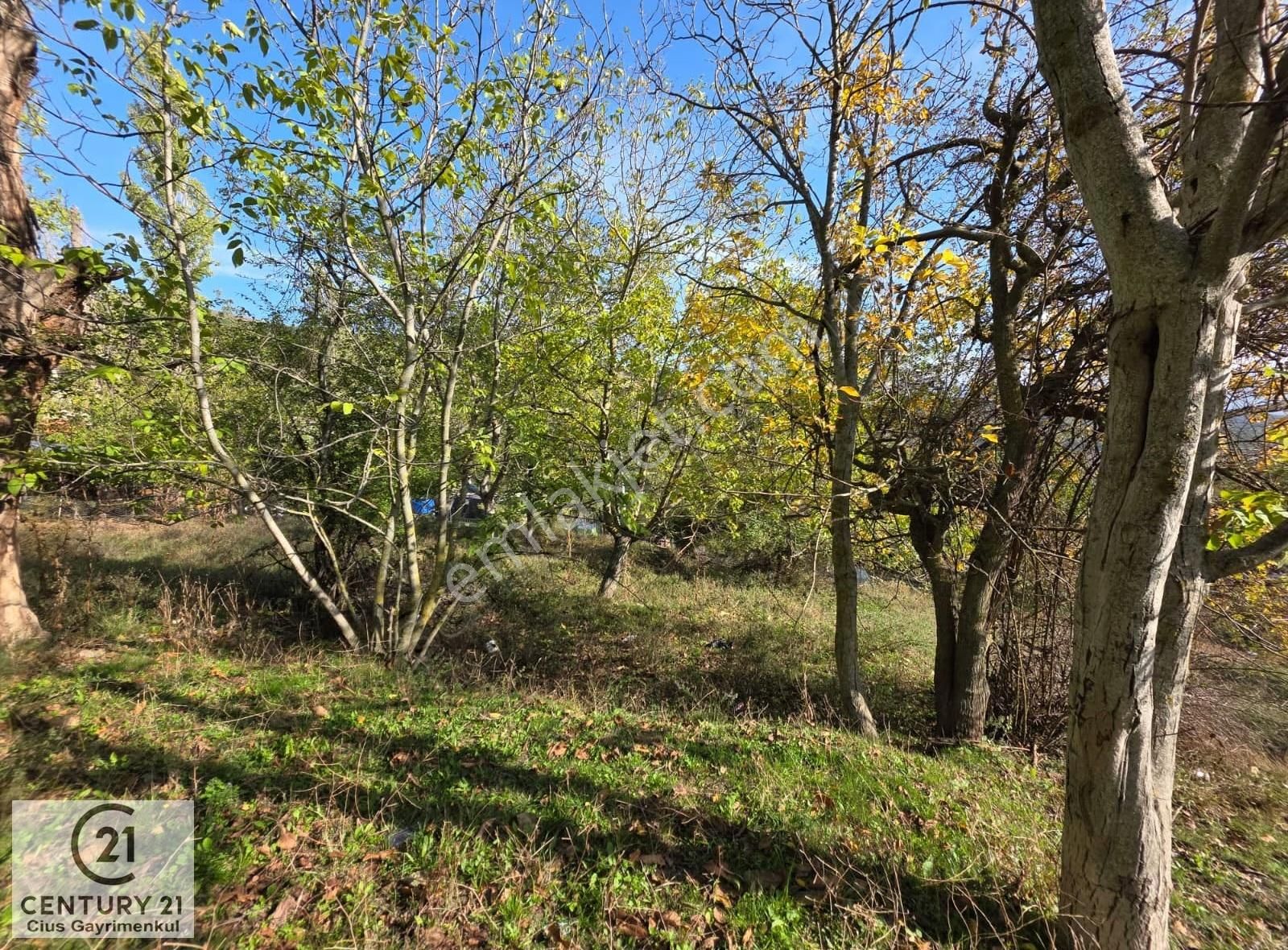 C21 Cius; Şahinyurdu'nda Muhteşem Doğa Manzaralı İmarlı Arsa - Görsel 8