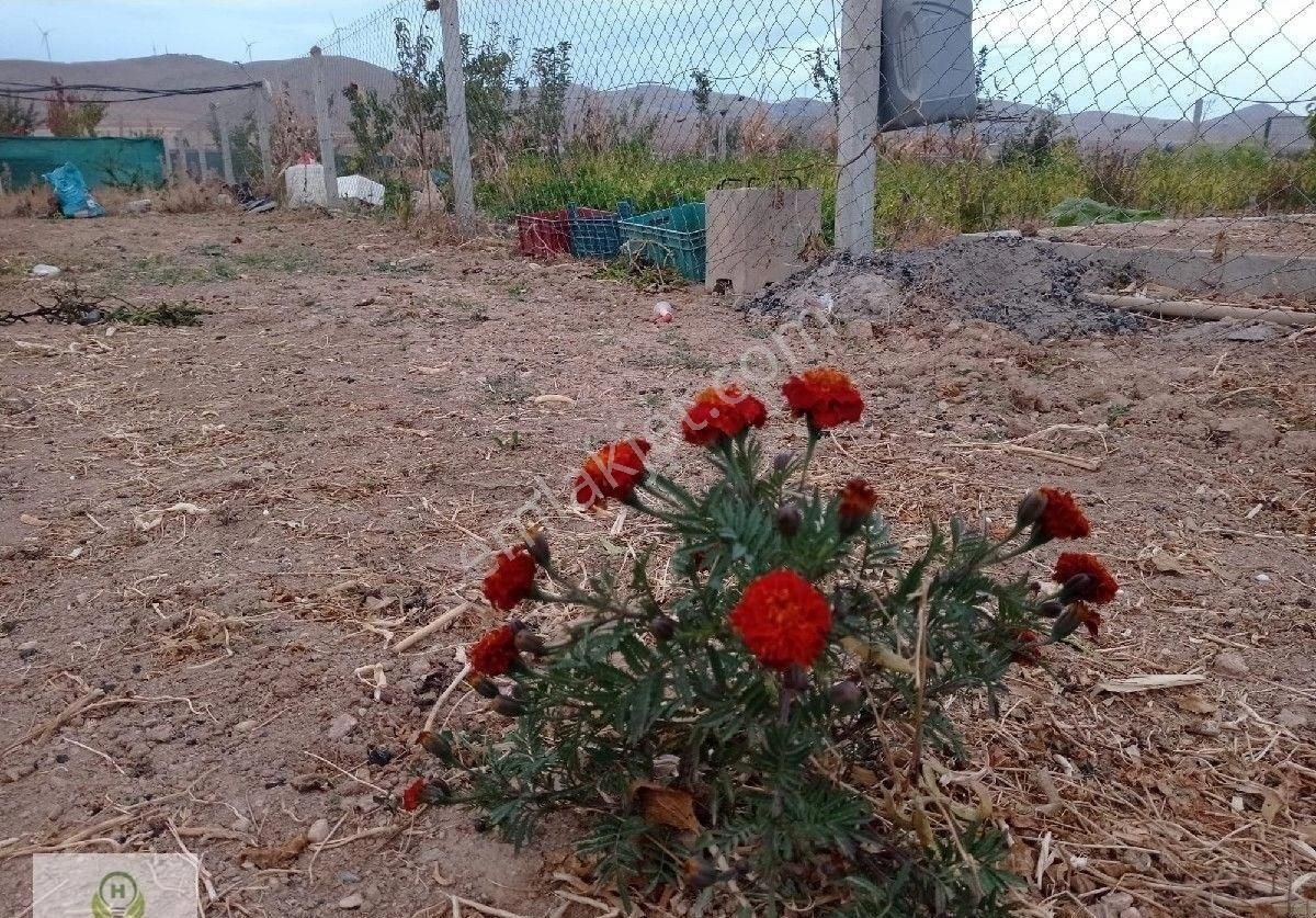Çaltı Köyü Girişi Bahçe Suyu Var - Görsel 4