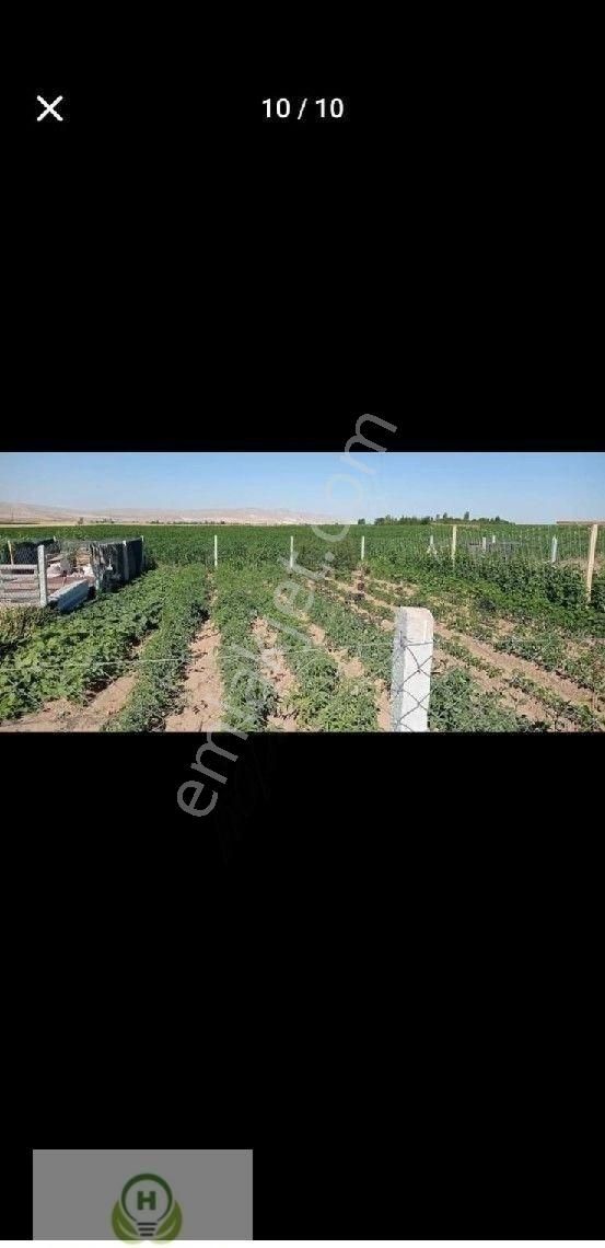 Çaltı Köyü Girişi Bahçe Suyu Var