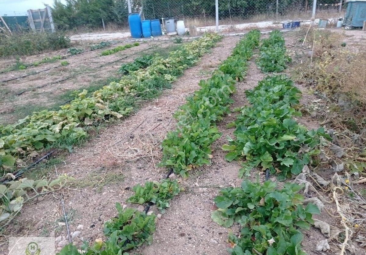 Çaltı Köyü Girişi Bahçe Suyu Var - Görsel 5