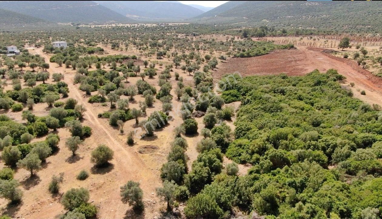 Didim Akyeniköy Kardelen'de Villa Arsası 300 M2 - Görsel 8