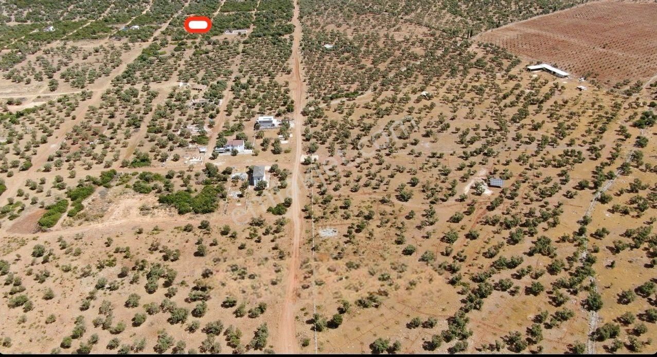 Didim Akyeniköy Kardelen'de Villa Arsası 300 M2